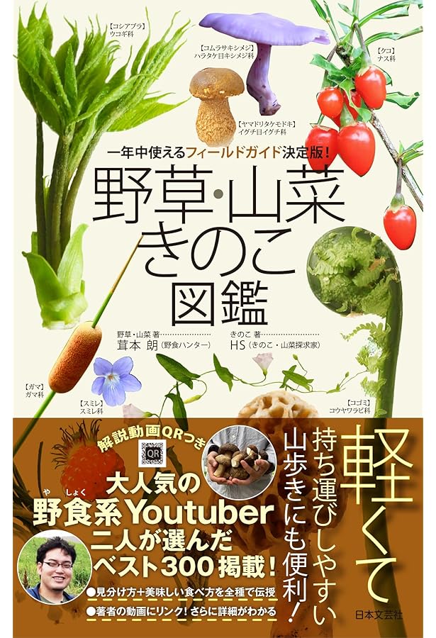 『熊本のきのこ』きのこ図鑑 稀覯本 熊本のきのこ』きのこ図鑑 稀覯本 - メルカリ